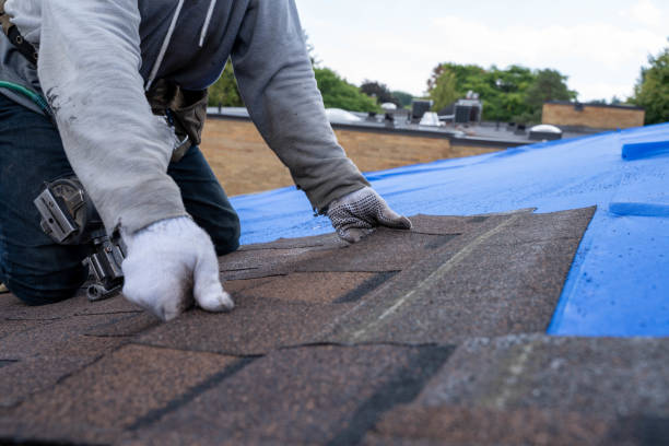 Best Roof Gutter Cleaning  in Malone, FL